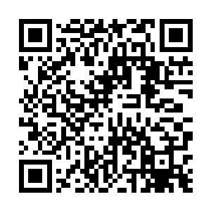 雪如楼也看了看四周然后走到流墨墨身边和她并肩走着二维码生成