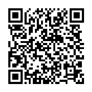 雪如楼他们一行人跟着燕和馨他们深入上弃原中二维码生成