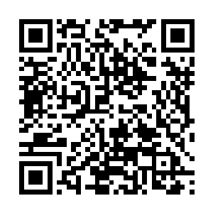 雪如楼带着流墨墨灵巧的穿过一串串狭小树木间的缝隙二维码生成