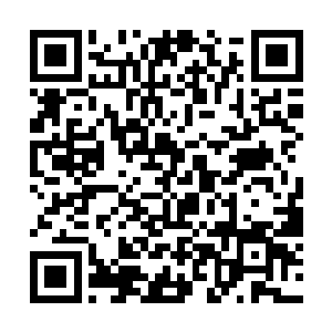 雪如楼并没有因为细竹的娇弱干净而打消对它的警惕二维码生成