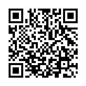 雪如楼打量了一眼那两排整齐的完全盛开着二维码生成