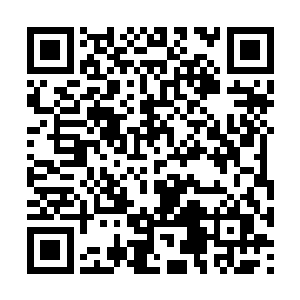 雪如楼的冲动却是被距离他最近的紫涟漪厉声打断二维码生成