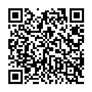 雪如楼看着那鹿身上乱糟糟的五彩斑纹和明显被狠揍过的痕迹二维码生成