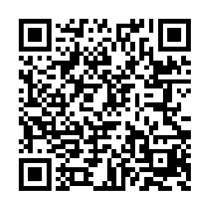 雪灵带来的大军就只剩下她孤家寡人站在那里了二维码生成