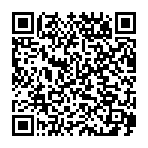 雪灵甚至已经想好了等会该怎么既表现出自己优雅一面又能体现内心畅快二维码生成