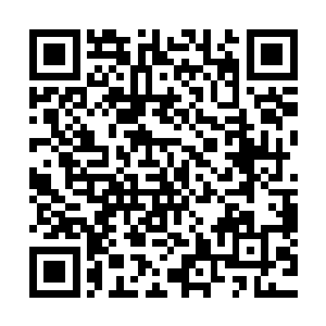 雪狼拥有尖利的爪子和超过人太多的速度以及瘆人的团队合作二维码生成