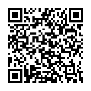 雷书记和令狐县长留我一起吃饭我都不敢留下来二维码生成