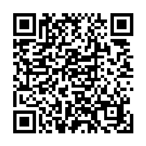 雷吉斯法师基地据说和银月小姐还有一些不为人知的关系二维码生成