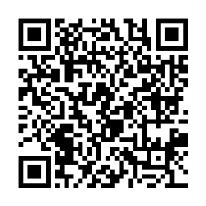 雷天刚才用灵识传音说他有办法解救那些被抓的弟子二维码生成