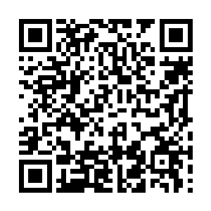 雷天和凤凰不仅能够成功的把他们的伏击都挡下来二维码生成