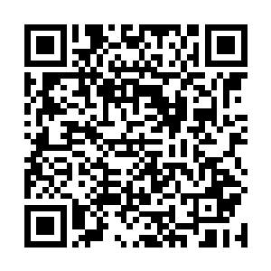 雷天在帝刀后面都感觉到了矮个武霸拳头中的巨大力量二维码生成