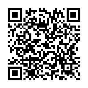 雷天就一直在缓缓的运转元力给自己的胳膊疗伤二维码生成