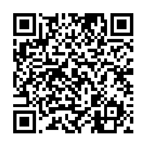 雷天肯定不会无缘无故去陷害一个他从来不认识的人二维码生成