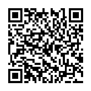 雷天都已经是艰难战胜了那支强大的古老妖族队伍二维码生成