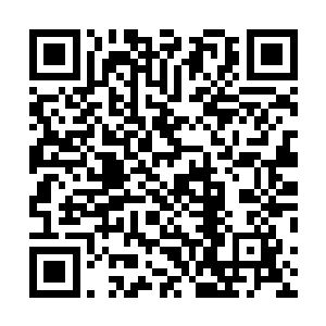 雷帝残魂的注意力已经完全集中在远方的天劫和孟南身上二维码生成