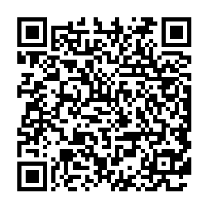 雷廷旭答应等我到人阶十二星给我一颗天地灵物助我快速突破到玄阶二维码生成