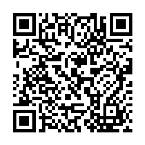 雷成虎丢掉了大量灵磁对抗舰和几乎所有综合补给舰二维码生成