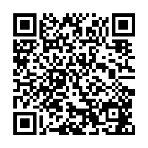 雷振霆却送一个美貌少女给定王实在是有些失礼二维码生成