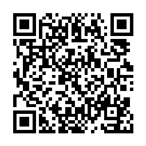 雷星峰发现一小群蛮牛竟然朝着自己的方向过来二维码生成