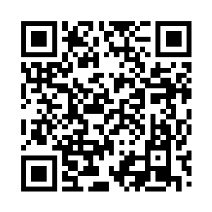雷林仔细观察着智能一号送来的报告二维码生成
