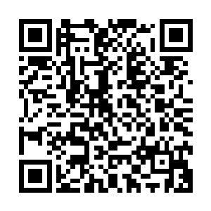 雷林和古勃勒就看到了一个巨大的好像后世飞机场一样的建筑二维码生成
