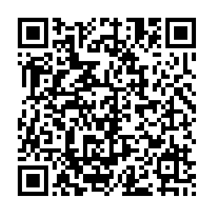 雷林和梅尔菲勒也就稍微将巨蛇身上最有价值的一部分材料先取下来二维码生成