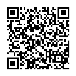 雷林在这里又见到了一种能够直接利用灵能力量的生命二维码生成