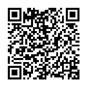 雷林当然不会委屈着自己一直当成培育机或者辐射仪之类的东西二维码生成