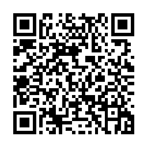 雷林很是简单地就决定了那位贵族小姐之后的命运二维码生成