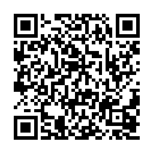 雷林直接在由巫术催生出来的果实上面咬了一口二维码生成