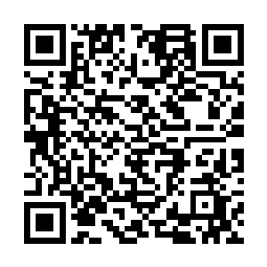 雷林这才发现他们有些有些失神的双眼和扩大的瞳孔二维码生成
