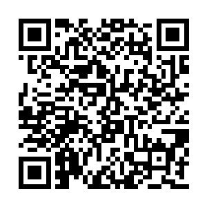 雷欢喜也跟着警察们一起来到了云东市刑警大队二维码生成