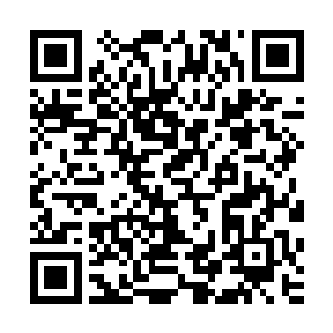 雷欢喜觉得纪德诚的这个见面的提议听起来倒是相当的不错的二维码生成