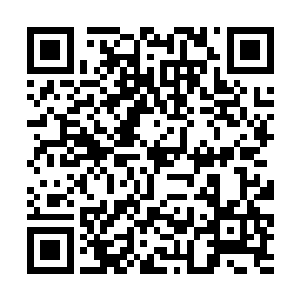 雷欧克斯已经迫不及待的让白昊放出刚刚找到的石头二维码生成