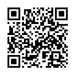 雷欧克斯选中一个核桃大小的石头二维码生成