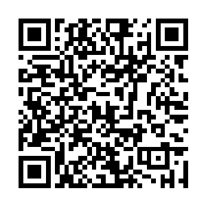 雷系仙人却是在等了一会儿后狐疑转头看向流墨墨二维码生成