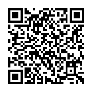 雾雨看见一旁的冷寒烟似乎没有从震撼中走出来二维码生成