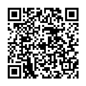 需求多··我看那魅业火也没什么损耗太过的样子二维码生成