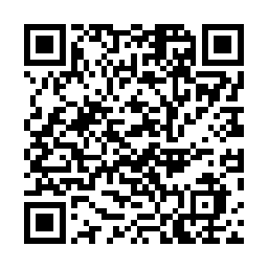 需要上百位和自己有血缘的后辈献出精血凝聚在自己身上二维码生成