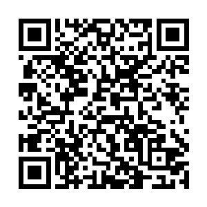 需要更多的人从不同的角度和位置来进行补充和提示二维码生成