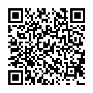 需要给予执行者非常高的自由度和临机决断的权力二维码生成