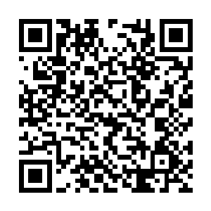 震天柱随着叶秋臂力的向上托举而颤抖的动了一下二维码生成