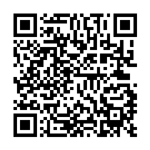 霉菌立刻从霓虹的军事基地出动了大批路基战斗机过来增援二维码生成