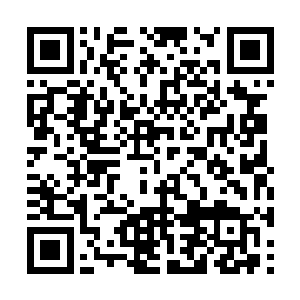 霍君白仍觉就像被无比巨大的锤子狠狠的敲了一下二维码生成