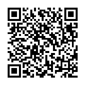 霍君白已经将玉雕城中的两只机关猎豹和十只机关木鼠召唤出来二维码生成