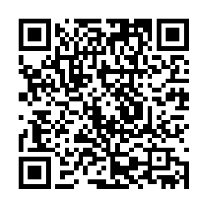 霍君白拉着满脸不快的燕小霞就跟着那队卫兵走去二维码生成