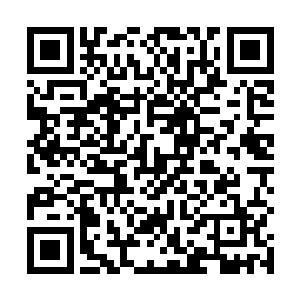 霍君白推过去的巨石和尖锥如同撞上了一堵无形的墙壁二维码生成