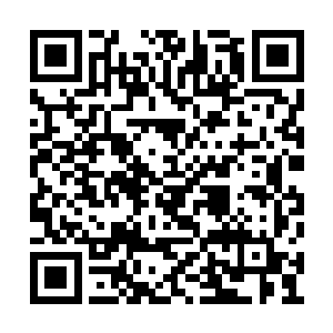 霍君白生怕真像小五说的那样已经有人捷足先登二维码生成