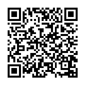 霍君白见白冰儿依然没有收起那两把冰晶长矛的意思二维码生成