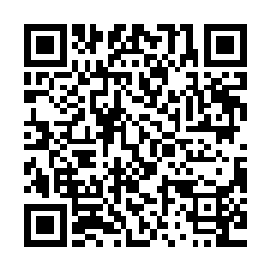 霍君白身周数十丈范围内的株株大树被一股无形的巨力连根拔起二维码生成